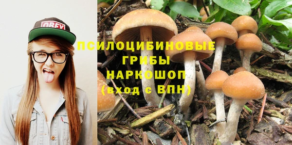каннабис Алексин