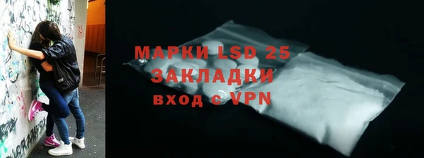 прущий лед Каменка